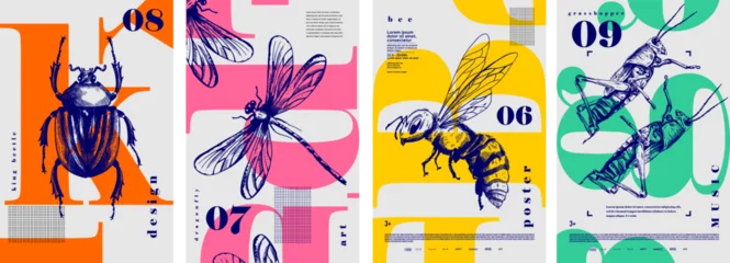 Foto op Plexiglas Beetle, dragonfly, bee, grasshopper. Set of vector posters with insects. Engraving illustrations and typography. Background images for cover, banner, poster. T-shirt print. © Molibdenis-Studio