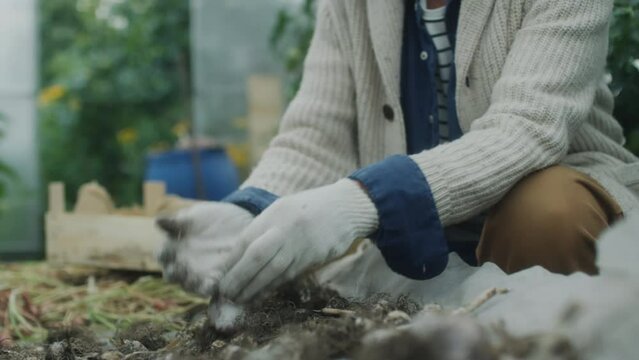 Senior woman in gloves and straw hat crouching in greenhouse and harvesting fresh garlic