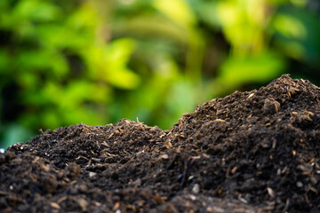fertile soil background for environmental theme