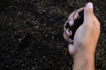 hands hold the soil with plant seeds. nature photos for the environment and farmers