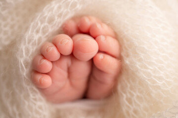 Soft feet of a newborn in a white woolen blanket. Close-up of toes, heels and feet of a newborn baby. The tiny foot of a newborn. Studio Macro photography. Baby feet covered with isolated background. 