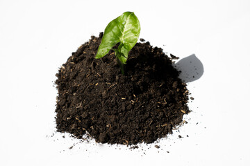 mounds of fertile dark soil for the environment. background for farmer and ecology theme design