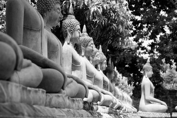 buddha statue in Ayutthaya
