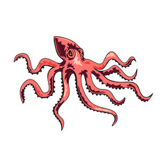 Sea octopus. Maritime and nautical element illustration. Vintage design with sea animals, ship, wave, anchor, pipe and bell isolated vector. Marine objects and accessories