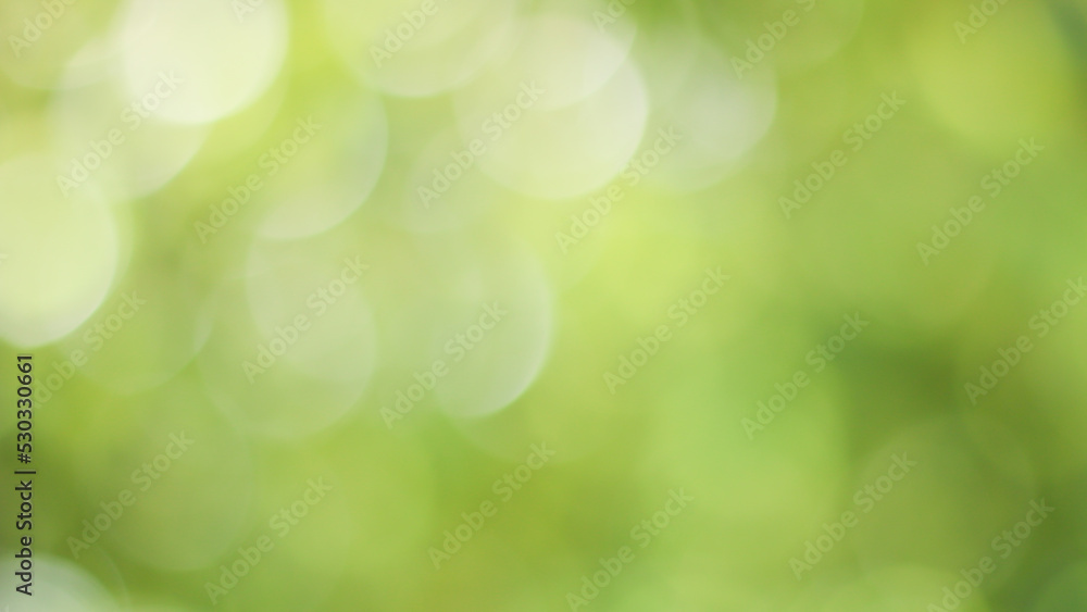 Wall mural sunny abstract green nature background, blur park with bokeh light , nature, garden, spring and summ