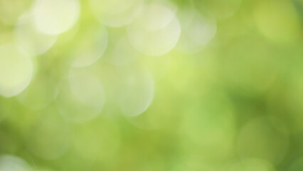 Sunny abstract green nature background, Blur park with bokeh light , nature, garden, spring and...
