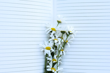 Daisies and empty notebook