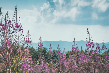 Bieszczady