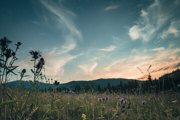 Bieszczady