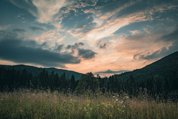 Bieszczady