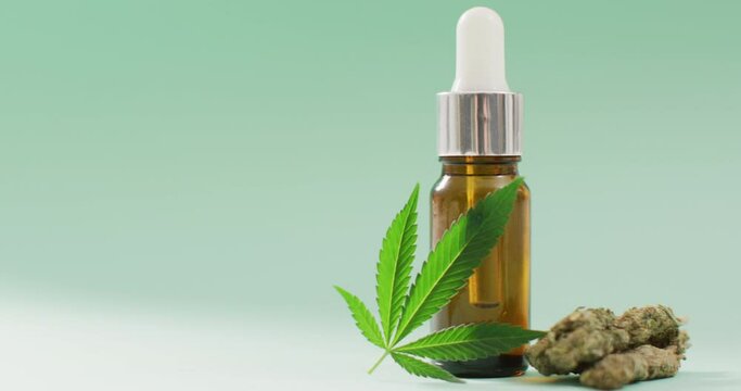 Video of marijuana leaf and buds and bottle of cbd extract on blue background