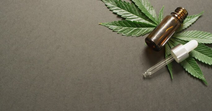 Video of marijuana leaves and bottle of cbd extract on grey background