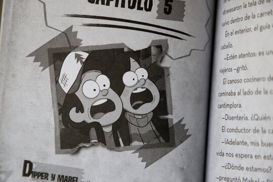 Gravity Falls Picture Book: A Summer of Mysteries. Twin brothers Dipper and Mabel Pines. Alex Hirsch's animated Disney television series. Uncles Stanley and Stanford. Waddles pig.