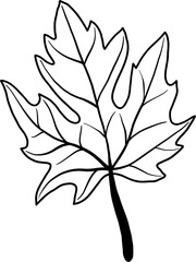 simplicity maple leaf freehand drawing flat design. 