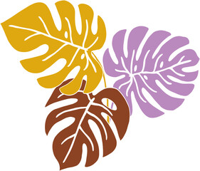 Simplicity monstera plant freehand drawing flat design.