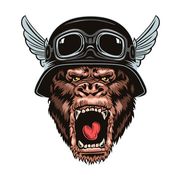 Animal angry characters set. Gorilla in biker helmet, gangster cap with open jaws. Vintage vector illustrations isolated on white background