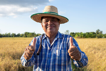 Fototapeta premium Happy smile An elderly Asian farmer wearing a shirt and hat stands in a rice field with thumbs up in countryside Thailand.