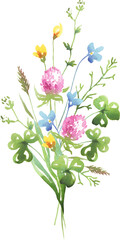 Wildflowers bouquet. Watercolor clipart	
