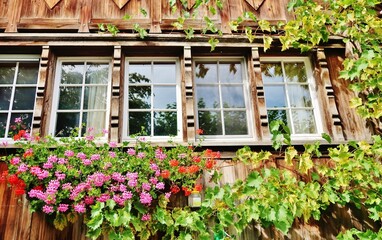 Fototapeta na wymiar Appenzeller Fenster mit Blumenschmuck, Ostschweiz