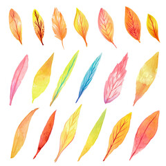 A set of watercolor autumn leaves. Watercolor leaves.