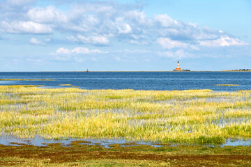 North German west coast on the Wadden Sea at high tide - 4798