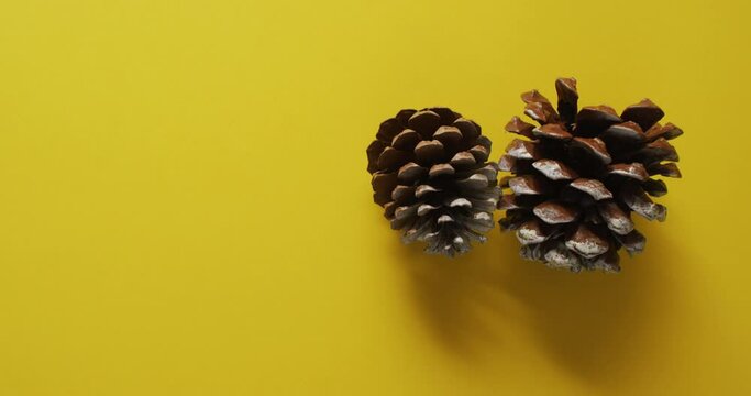 Video of pine cones lying on yellow surface