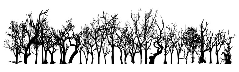 Fototapeta na wymiar Vector silhouette of tree on white background.