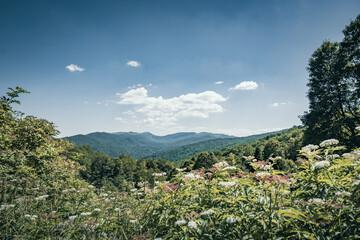 Bieszczady