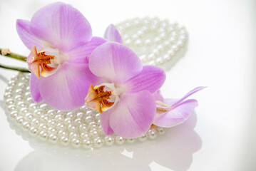 Obraz na płótnie Canvas pearl and purple orchid on a white glas 