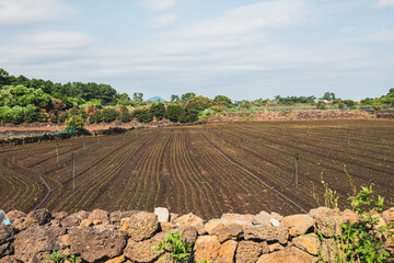 stone walls and well-organized fields
