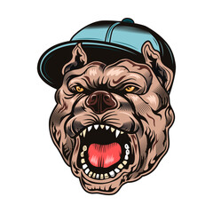 Animal angry characters set. Bulldog in gangster cap with open jaws. Vintage vector illustrations isolated on white background