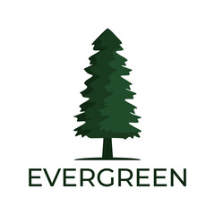 Obraz na płótnie Canvas fir tree logo design, fir tree vector design, fir tree vintage design, fir logo
