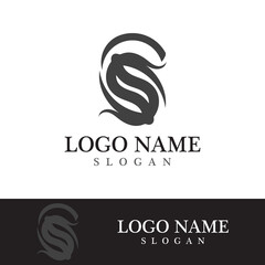 Business corporate S letter logo