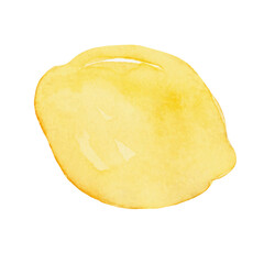 Hand drawn watercolor vector lemon isolated on white background. Fruit lemon vector illustration