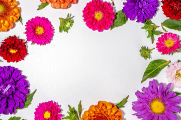 Fototapeta premium Autumn flowers flatlay background. Bouquet of colorful chrysanthemum, peonies (orange, purple, yellow, red) flowers on white background, frame border for greeting card top view copy space for text