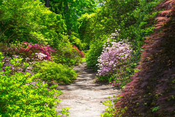 garden path new england sunny day