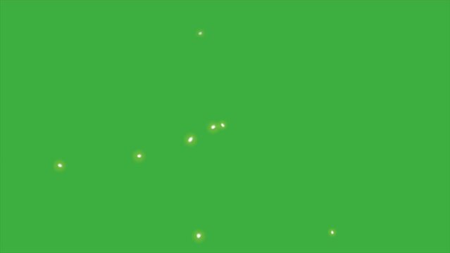 Green screen background of a firefly with a slight blur, you just need to remove the green background in the video editing software you are using