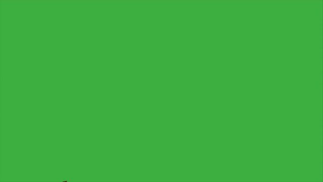 Green screen video of a brown dry leaf, can be used for your intro or outer cover video, just remove the green screen background in the video editing software you are using 