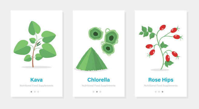 Three vector banners of food suplements. Isolated vertical onboarding templates with botanical pictures