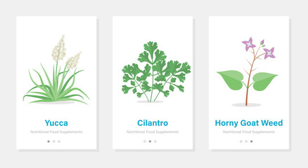 Vertical vector banners with nutritional food supplements. Isolated onboarding templates with herbs