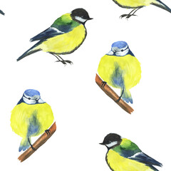 Watercolor chickadee bird seamless pattern on white background. Hand drawing illustration of animal. Titmouse.