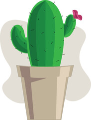 cactus in a pot