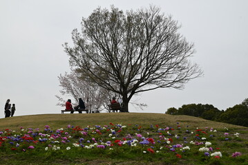 family in the park
それぞれの休日