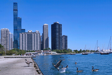Fototapeta na wymiar Chicago Lakefront Trail and waterfront apartment buildings near Randolph Street