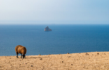 ain't nothing better then taking a walk near the sea