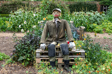 gardener scarecrow sitting on crates in the garden amongst flowers and plants