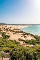 ain't nothing better then taking a walk near the sea