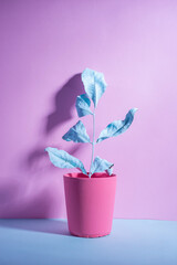 purple pink creative minimalistic still life surreal composition