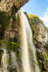 waterfall in the forest