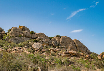 ain't nothing better then taking a walk near the sea